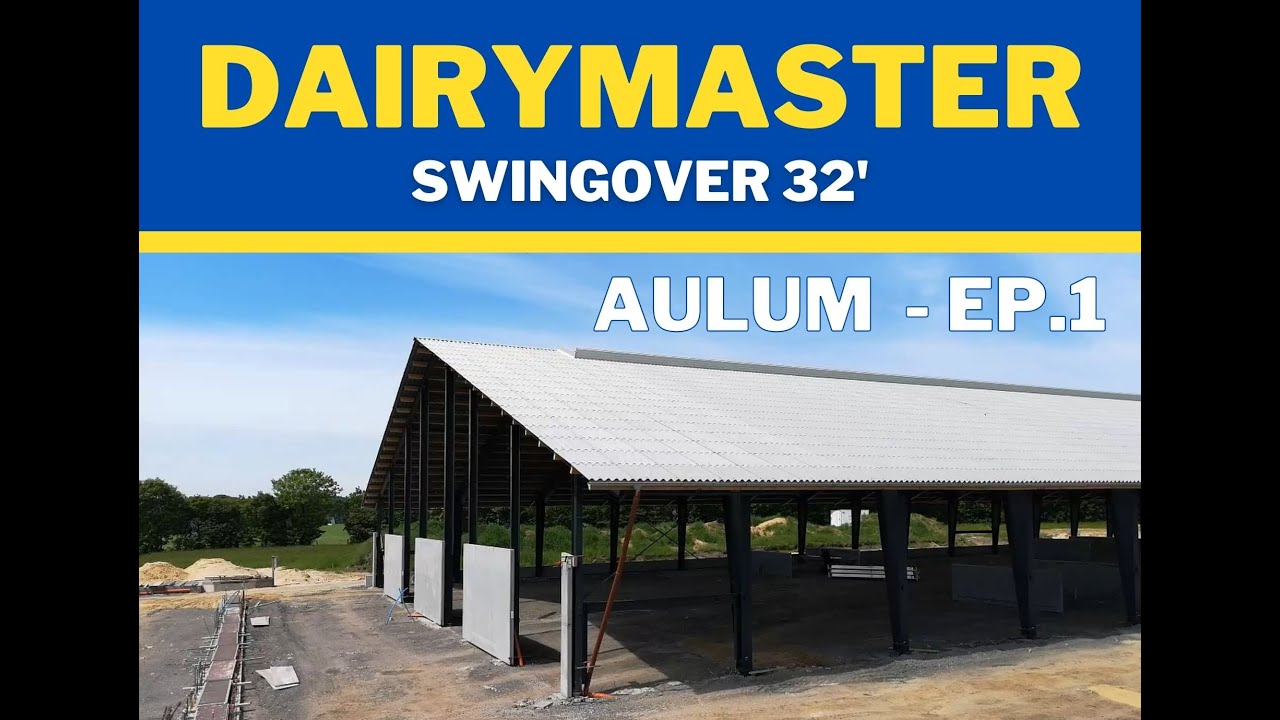Dairymaster 32' SwingOver malkestald - barmarksprojekt