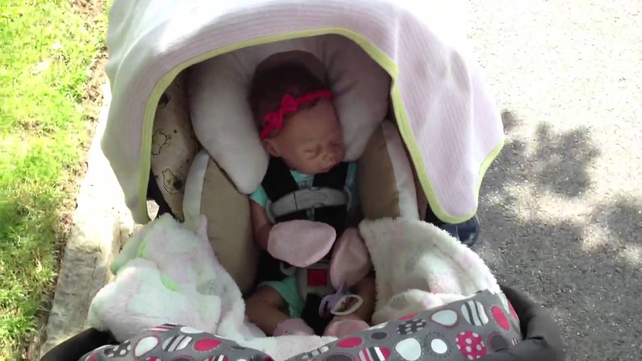 Trying out my new travel system on a walk!