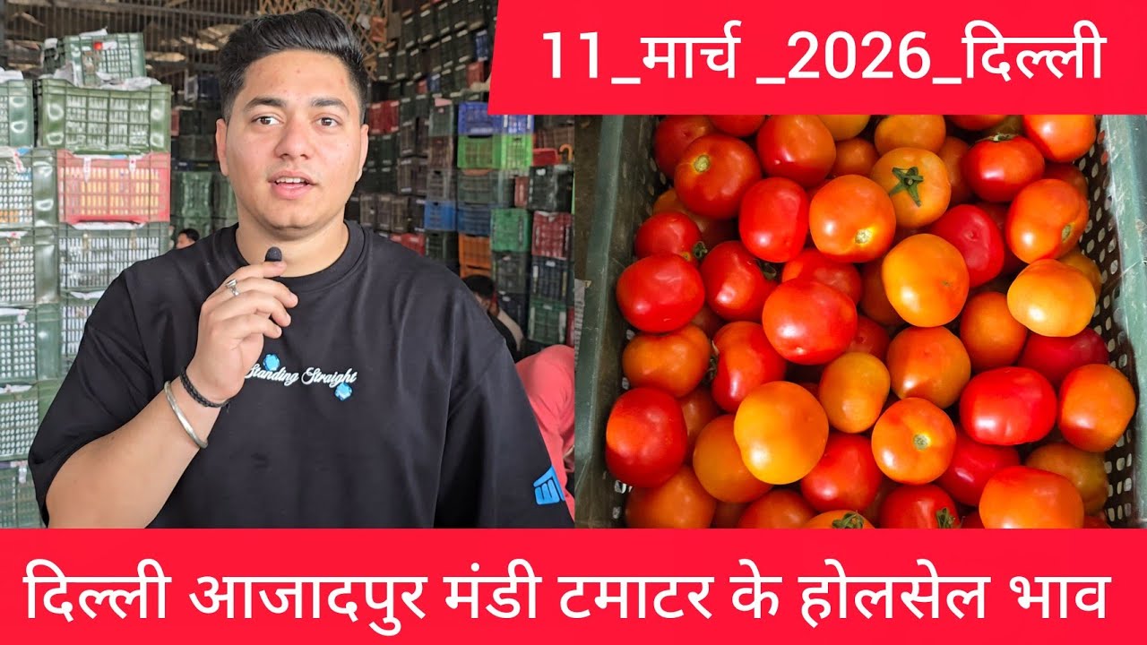 March 11, 2026 दिल्ली 🍅टमाटर के भाव azadpur Delhi mandi today tomato market price #tomatomarket 