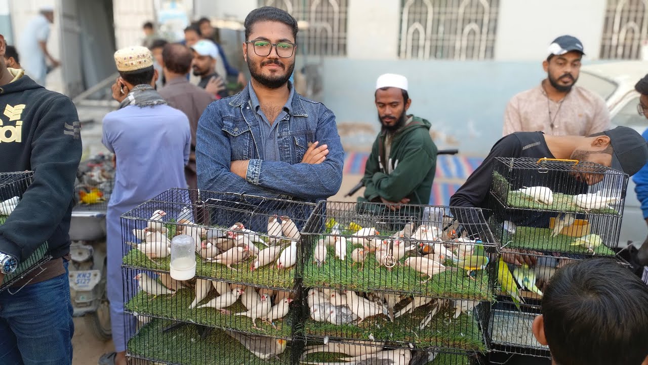 Sunday Lalukhet Market 30_11_2025 Farhan Birds YouTube Channel. 