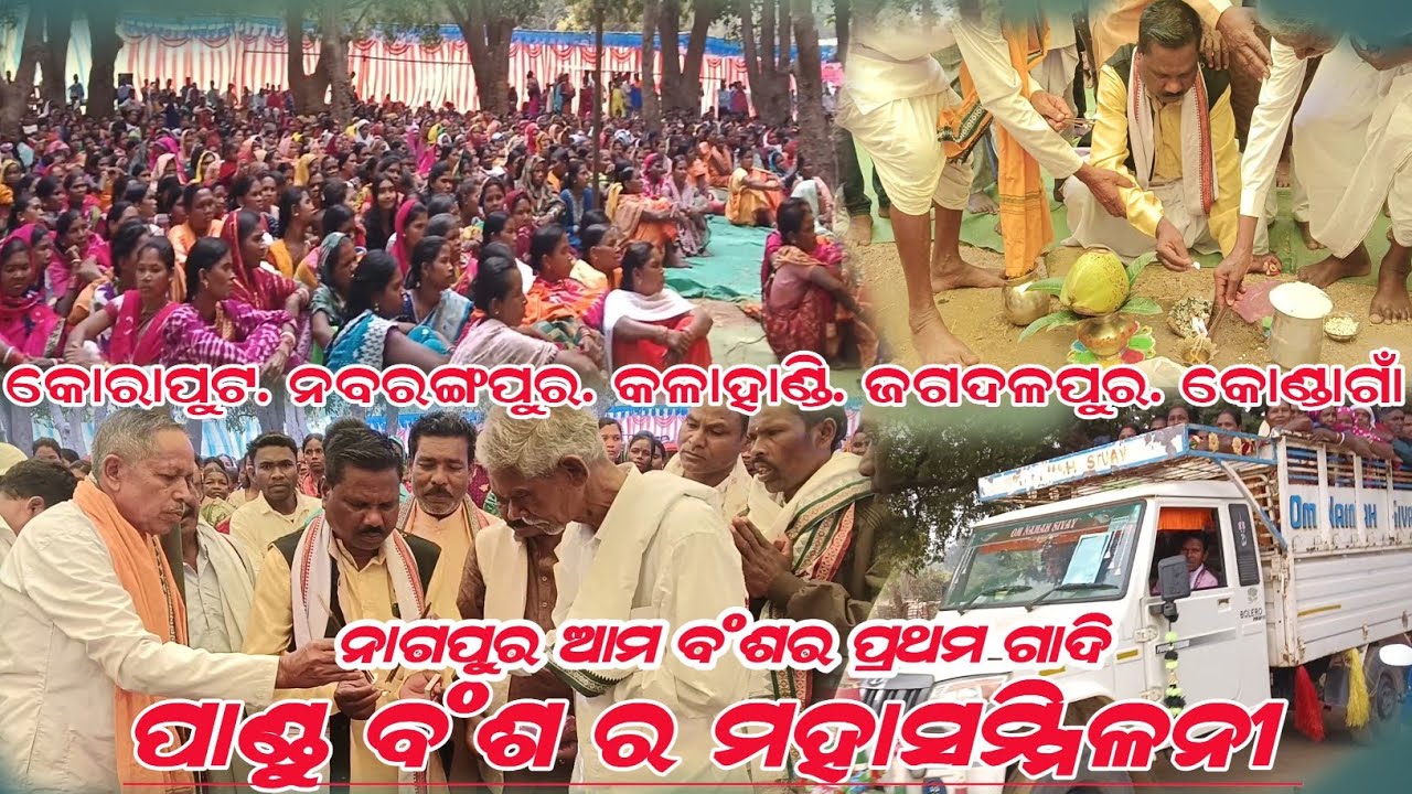 ନାଗପୁର ଆମ ପାଣ୍ଡୁ ବଂଶର ପ୍ରଥମ ଗାଦି ଦେଖନ୍ତୁ ଫୁଳ୍ଲ Lknvlog#socialmedia ଗାଁ ଟୁ ଜଟାବାଲ #love 