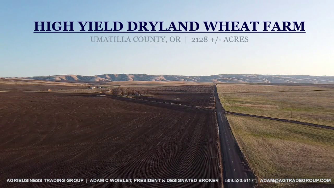 SOLD! HIGH YIELD OREGON WHEAT FARM - $7,800,000