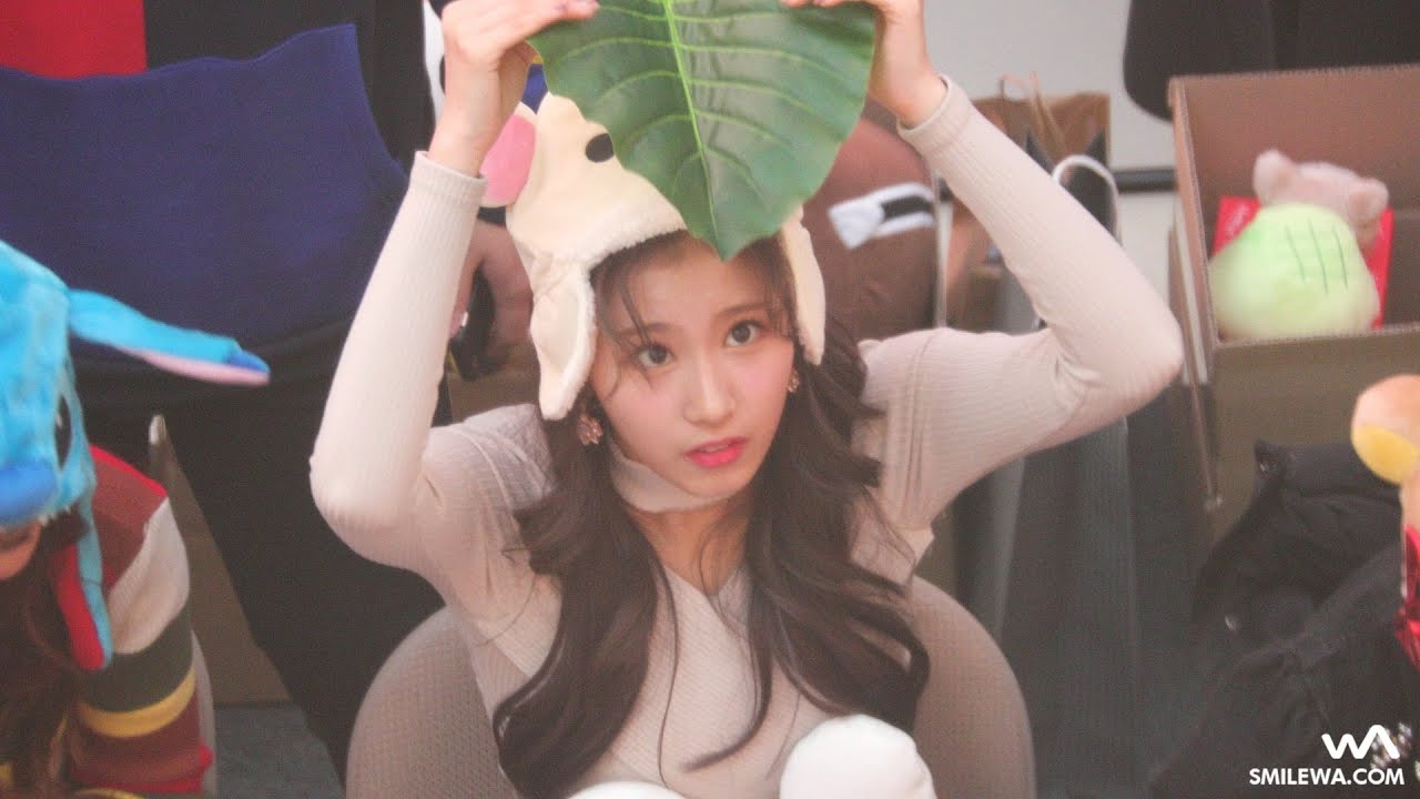 171126 TWICE (트와이스) 사나 (SANA) 팬싸 Reaction 직캠 @고양 팬사인회 Fancam by -wA-