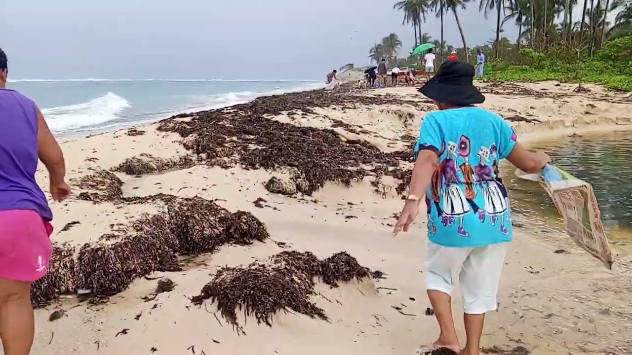 Clean up drive saaming beach POB 2 maraming basura galing sa dagat kasama si kapitan kagawad bhw 