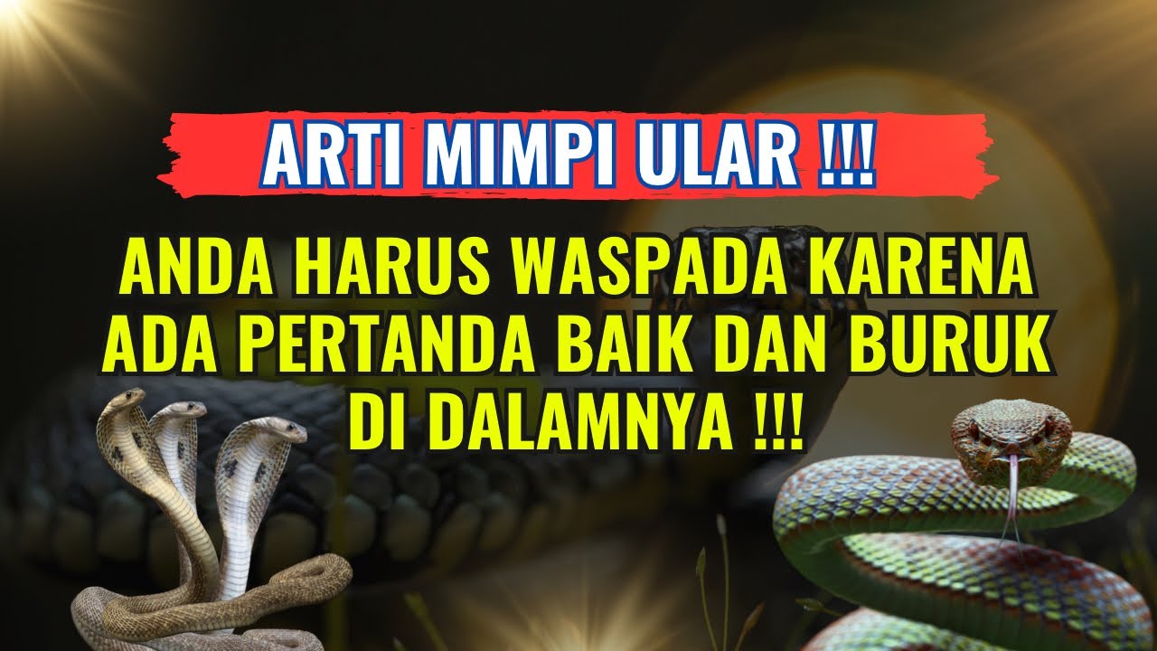 HARUS WASPADA ‼️ 5 ARTI MIMPI Tentang ULAR yang Perlu di Cari Tahu
