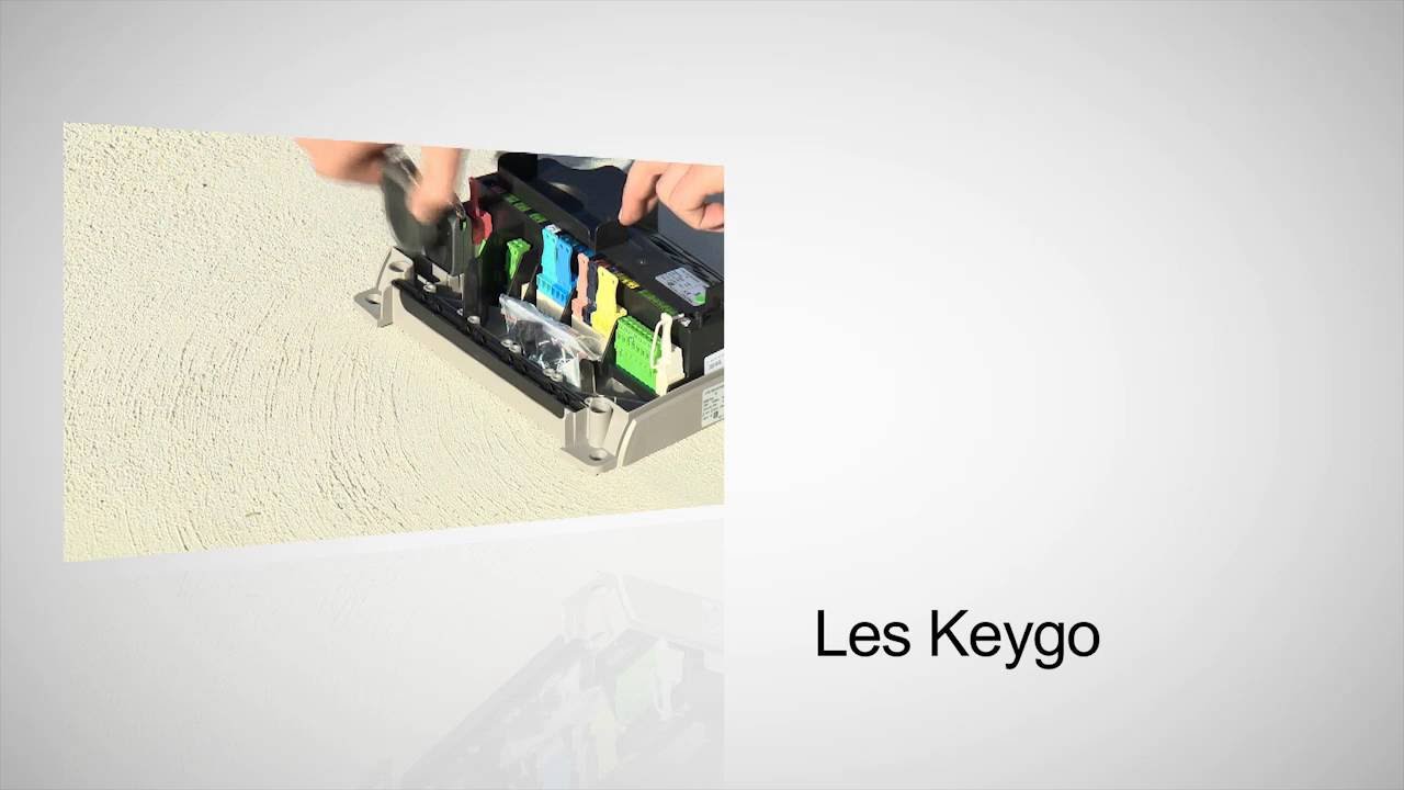 Cómo instalar un motor de cancela batiente con el motor Ixengo L 3S de Somfy