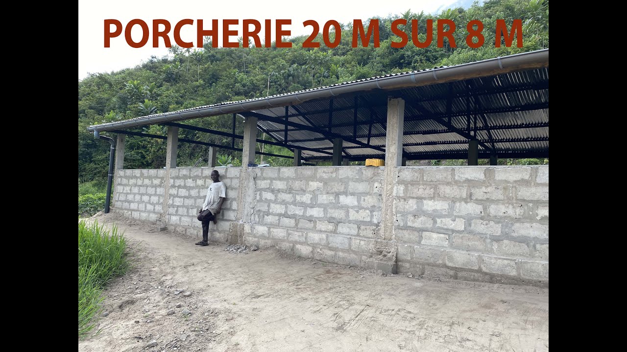 PORCHERIE 20 M SUR 8 M DEVIS ( NDAKU YA BA NGULU )