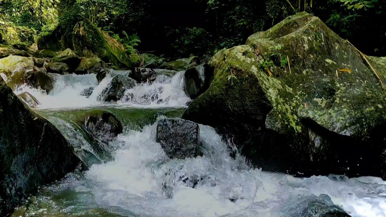 Gentle River Flow Loop  ASMR Meditation Ambience No Birds
