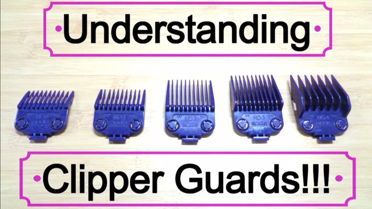 Learning and Understanding Clipper Guards