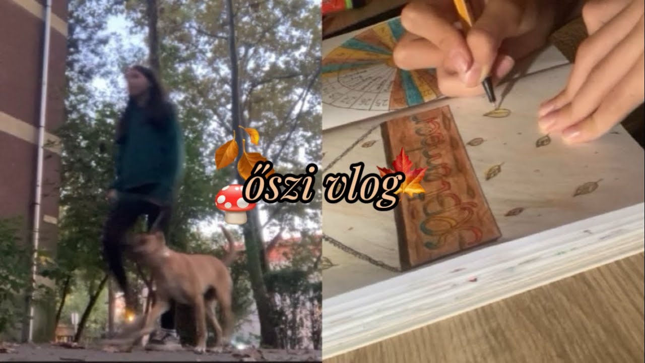 őszi Life update vlog🍂🍁🍄🤎