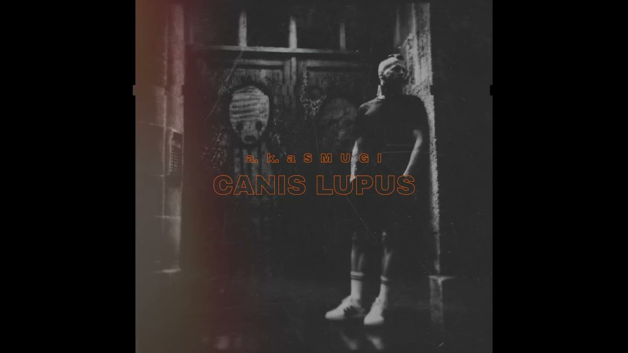 a.k.a SMUGI - CANIS LUPUS