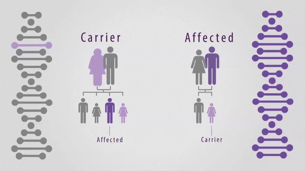 What is Hunter syndrome (MPS II)?
