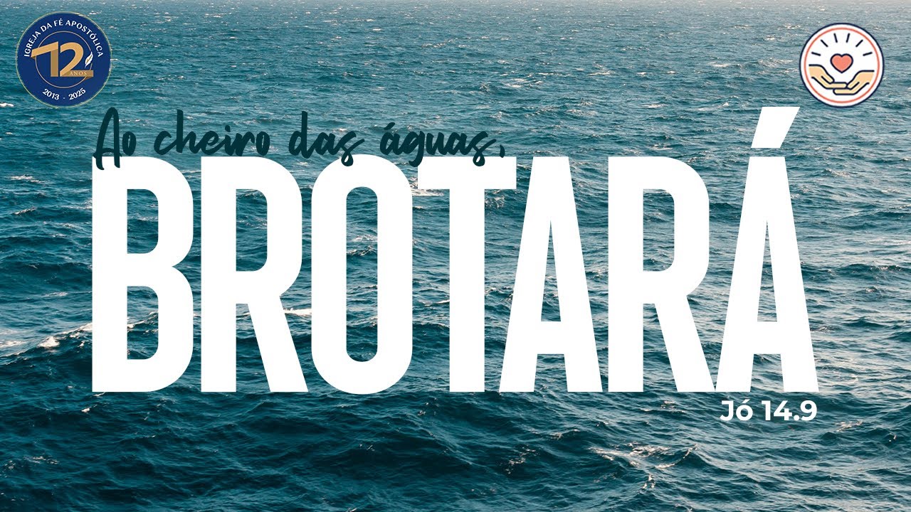 🔵 3.º dia: 
