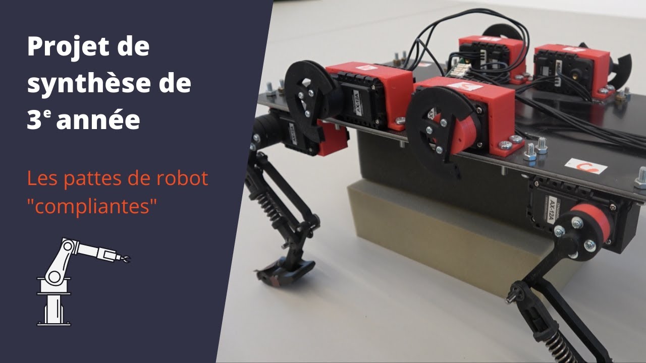 Un robot avec des pattes en matériaux compliants ? | Projet de 3e année