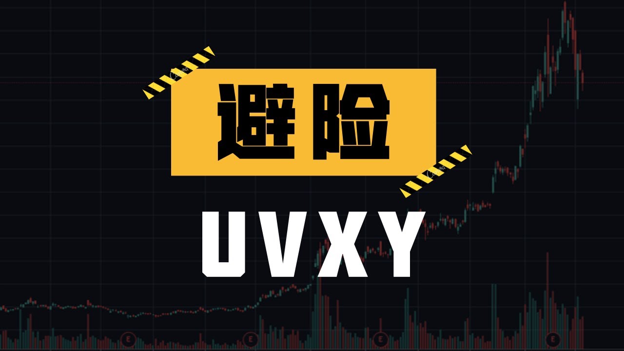 做好避险，追求机会 (UVXY)