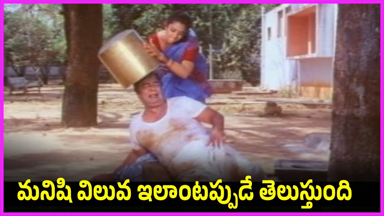 మనిషి విలువ ఇలాంటప్పుడే తెలుస్తుంది - Kaikala Satyanarayana, Meena Ultimate Comedy Scenes | Suresh