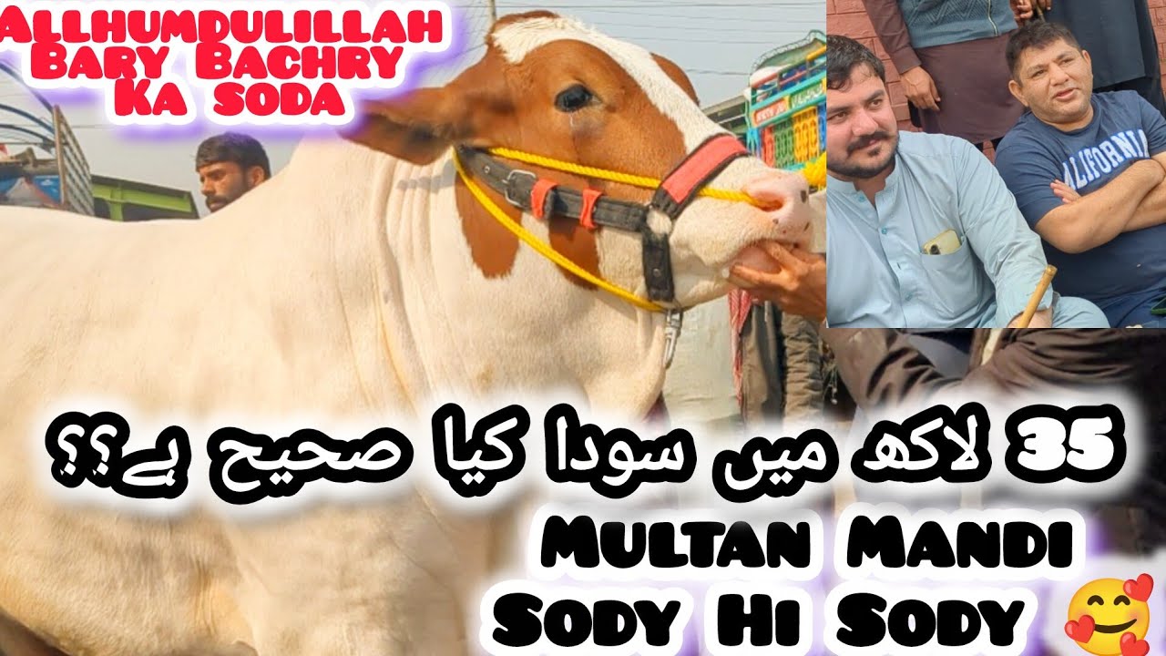 Sunday Multan Mandi Farhan Bhai Ka Soda 🥰💥 HFU CATTLES INFO 💥❣️15/2/26