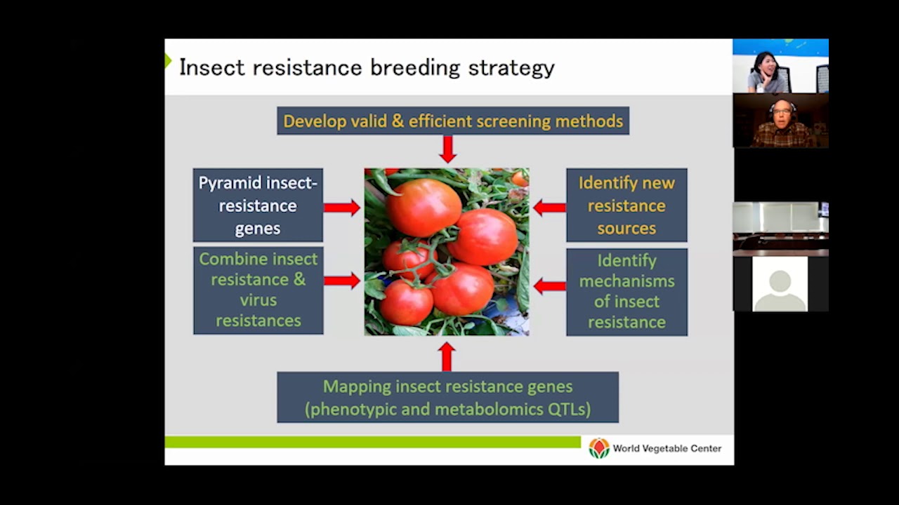Update on Tomato Breeding and Progress on Insect Resistance: Dr. Peter Hanson