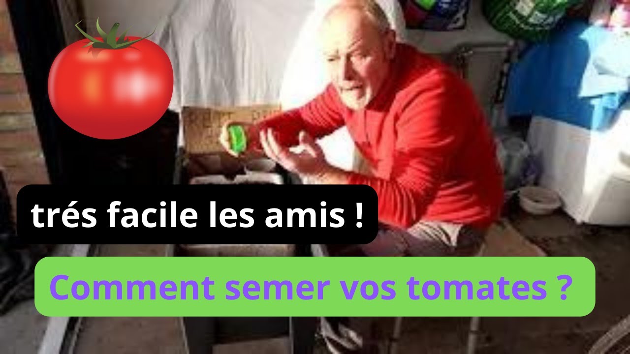Mi-janvier , comment semer les tomates ? ( pour votre serre )