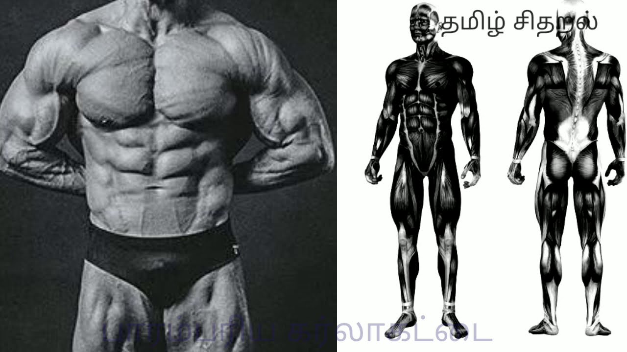 Karlakattai history. #கர்லாகட்டை வரலாறு
