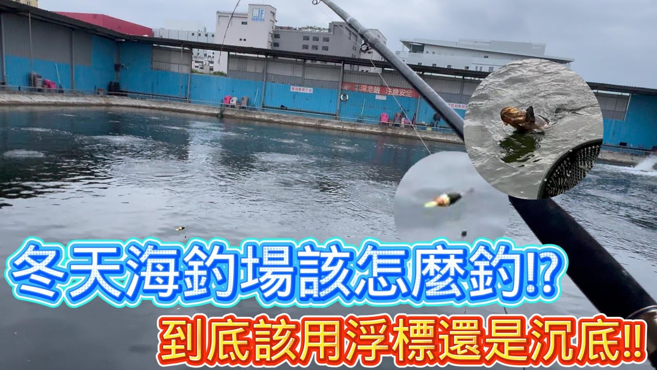 【獵獵釣魚】冬天海釣場該怎麼釣!?究竟該用什麼釣組才好呢! #長標#短標#龍虎斑#黑公#金目鱸#金鯧#釣魚#海釣場#大湖海釣場#三連鉤