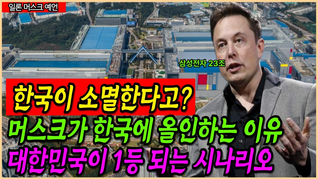 망한다던 한국, 머스크는 왜 한국에 30조를 걸었나 | 머스크의 경고와 베팅 | 한국 미래를 읽는 핵심 | 3년 뒤 대한민국이 세계 1등이 되는 시나리오