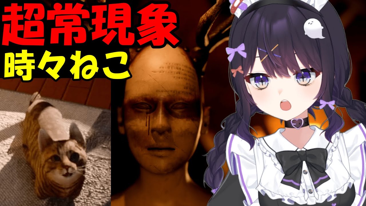 【新作】ループする恐怖。カメラを用いて秘密の記憶を解き明かせ！ネコもいます。【The 18th Attic】