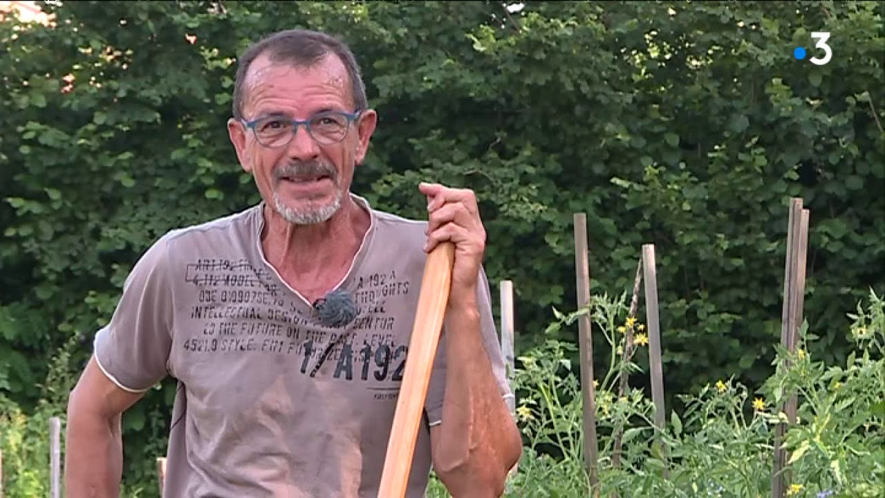 Serie Potager n°2 : dans les jardins ouvriers de l'Auzette à Limoges.