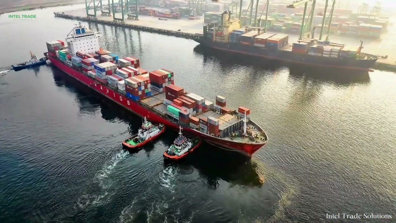 Our Export Service Guide 🚢