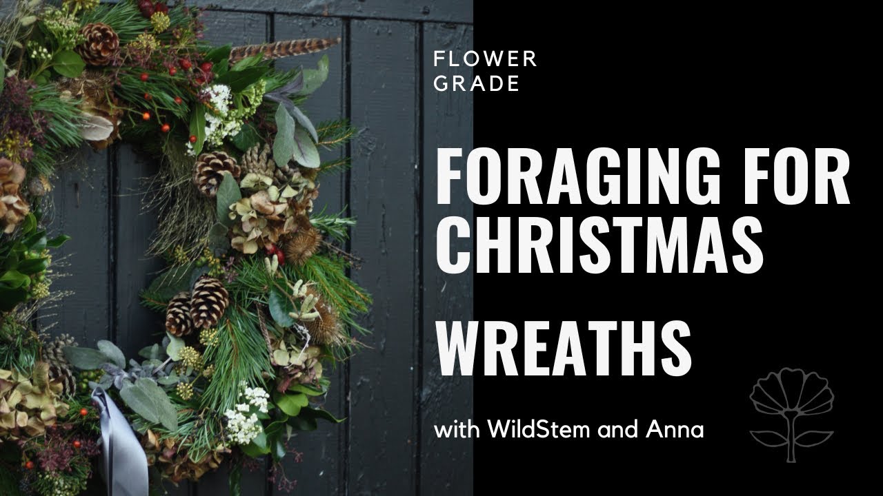 Foraging for Christmas wreath