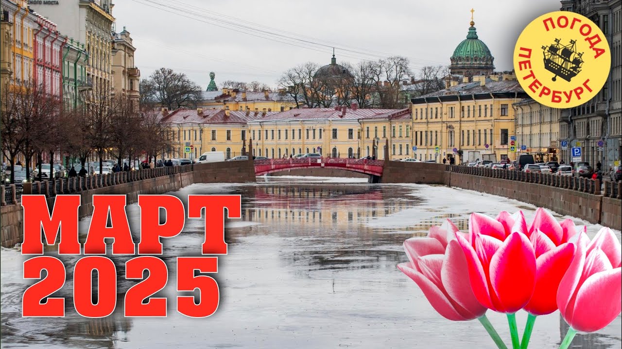 2025.03.01. Погода Петербург. 10:52. +1°. Совсем не весенняя весна. 🌱 СЕГОДНЯ КОММЕНТАРИИ ОТКРЫЛ!!!