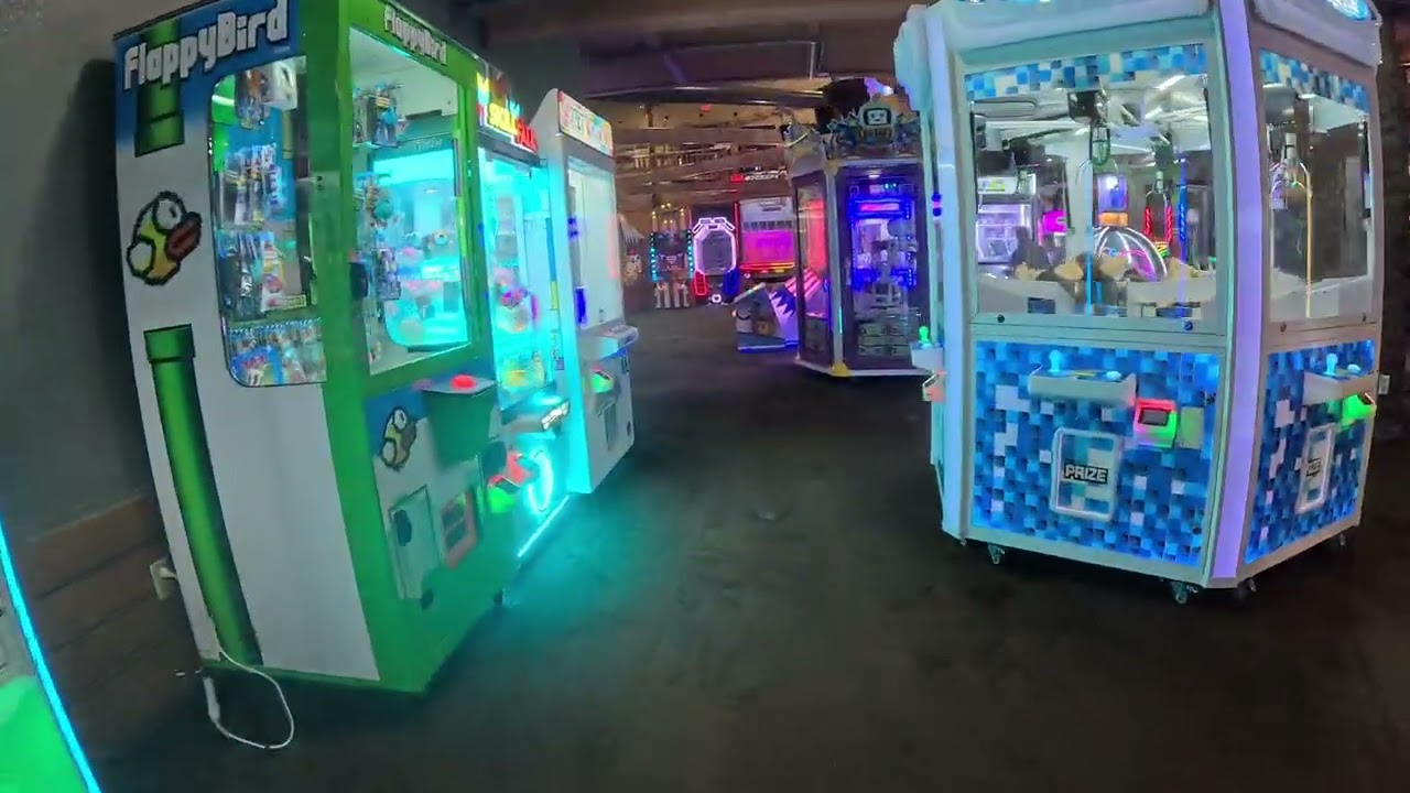 Wilderness arcade 