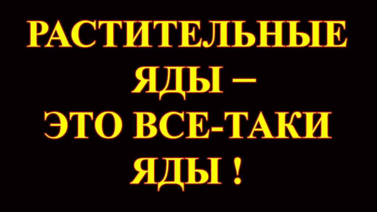 ★Самоисцеление★ Аконит. Месяц использования. Отзыв.