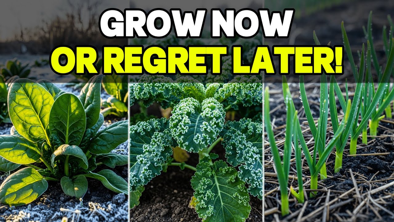 Plant These 7 November Veggies NOW or You'll REGRET It!