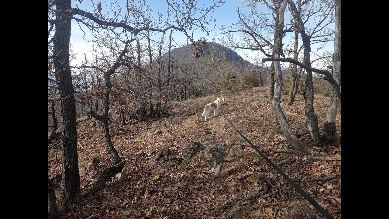 Escursione ad anello da Almese al monte Curt e al santuario Madonna della Bassa 16_01_2023