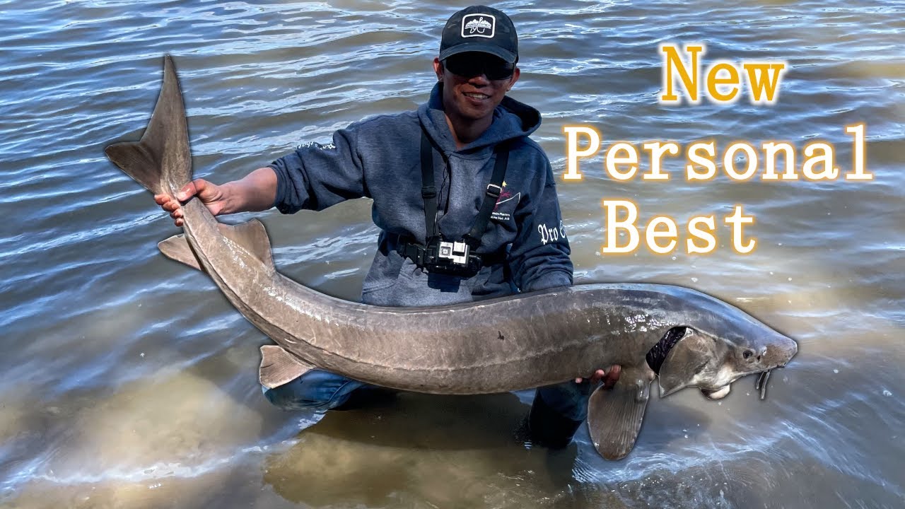 I Caught a New PB Lake Sturgeon fishing the North Saskatchewan River Edmonton