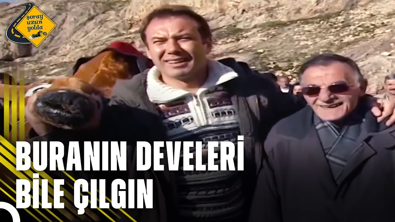 Deveyi Fazla Yorduk Perişan Hale Geldi | Bayburt'ta