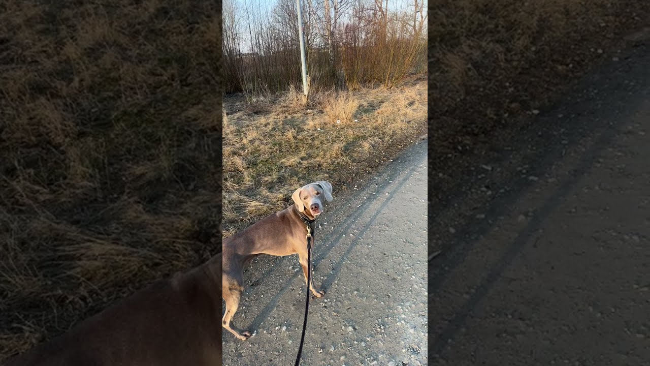 Прогулка с Ксенией в прямом эфире!