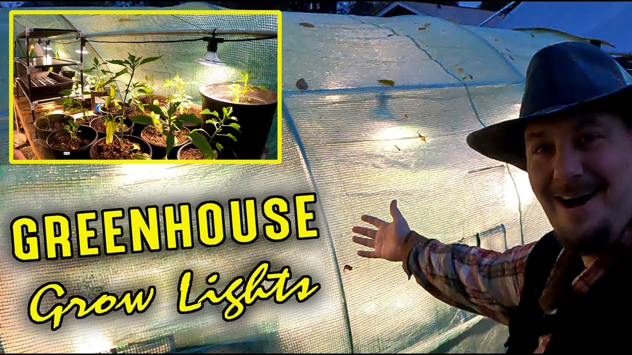 Greenhouse 