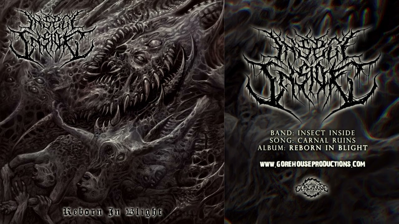 Insect Inside - Carnal Ruins | Official Track