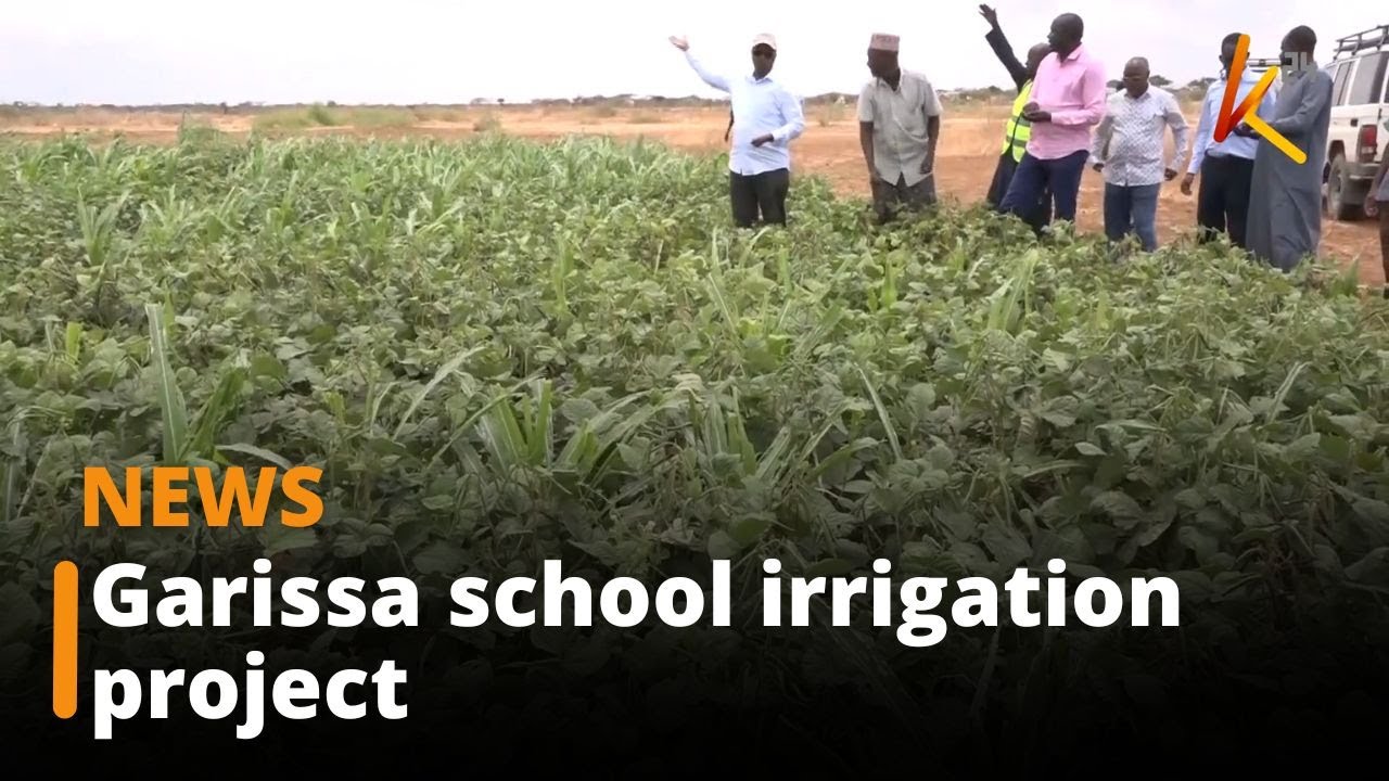 Residents embrace irrigation farming to sustain their livelihoods in Garissa