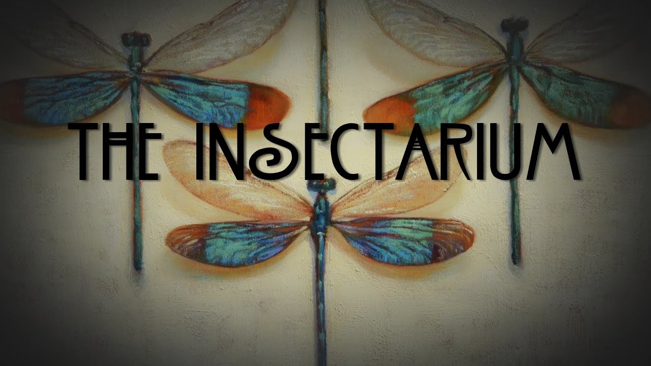 The Insectarium: An Artist's Homage to the Insect World