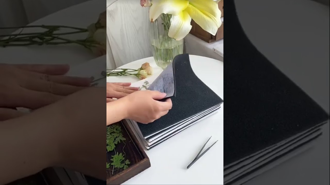 接受大自然的馈赠，制作植物标本很简单#压花#diy #花