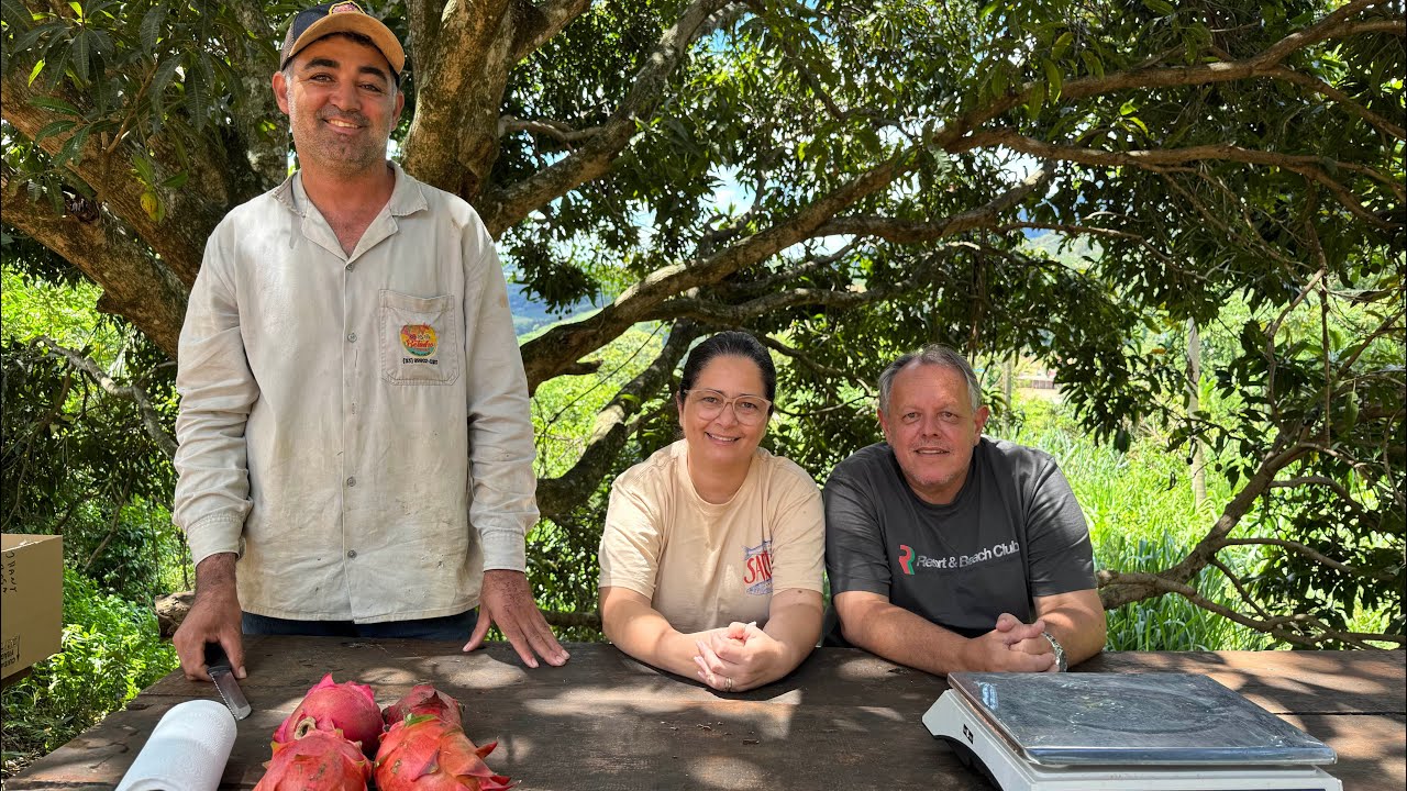 Apresentando novos híbridos de pitaya da propriedade!