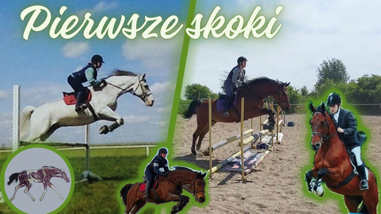 SKOKI przez przeszkody - na koniu 🐴  🏆 - jak to zacząć?