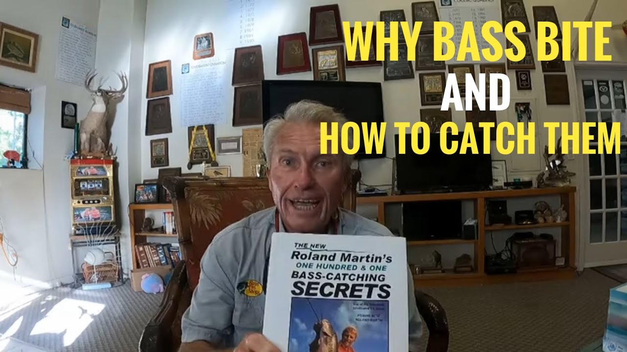 Why Bass bite and best way to catch them