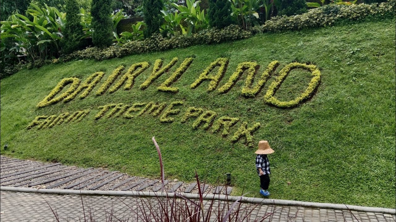 #ayodolen withaaa cimory dairyland januari 2026