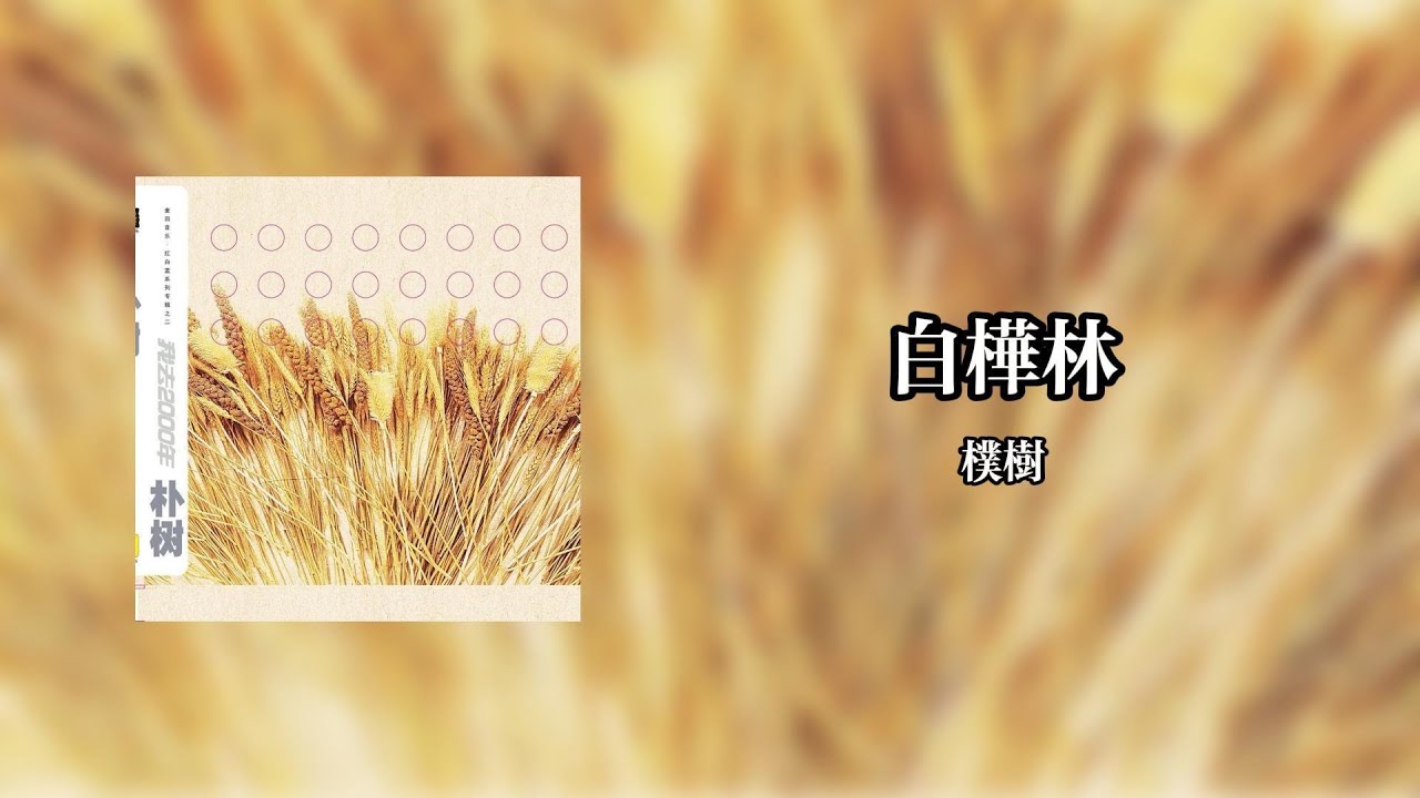 白樺林The Birch Forest - 樸樹Pu Shu【Lyrics Video】