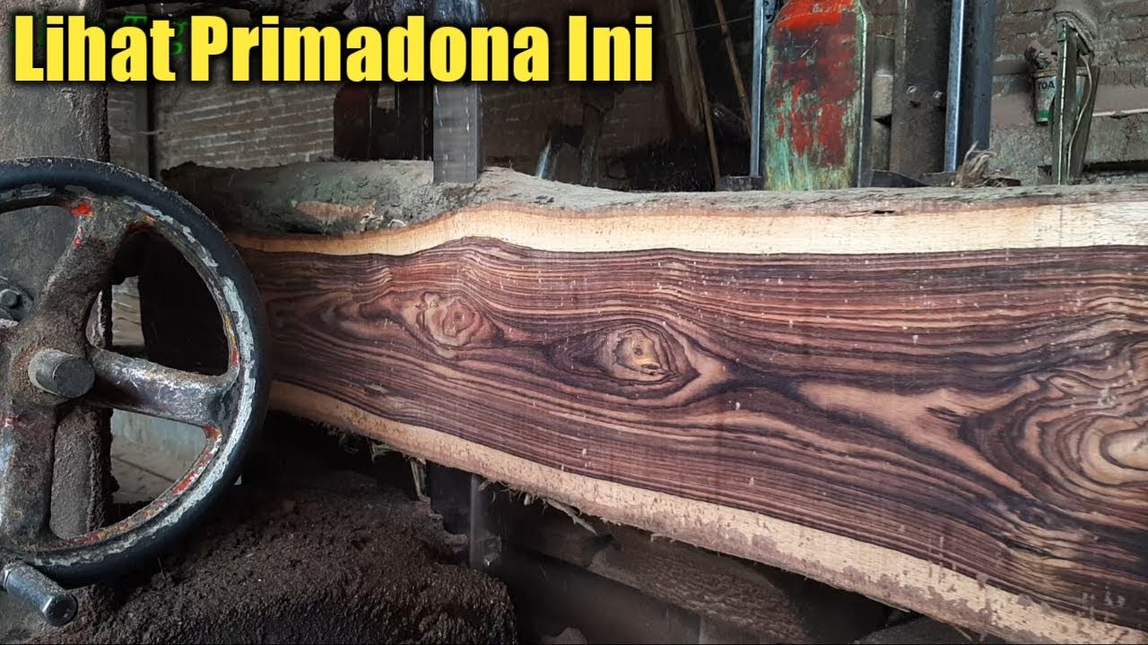 Harga Super Mahal, Kayu Sonokeling Masih Menjadi Primadona Untuk Saat Ini