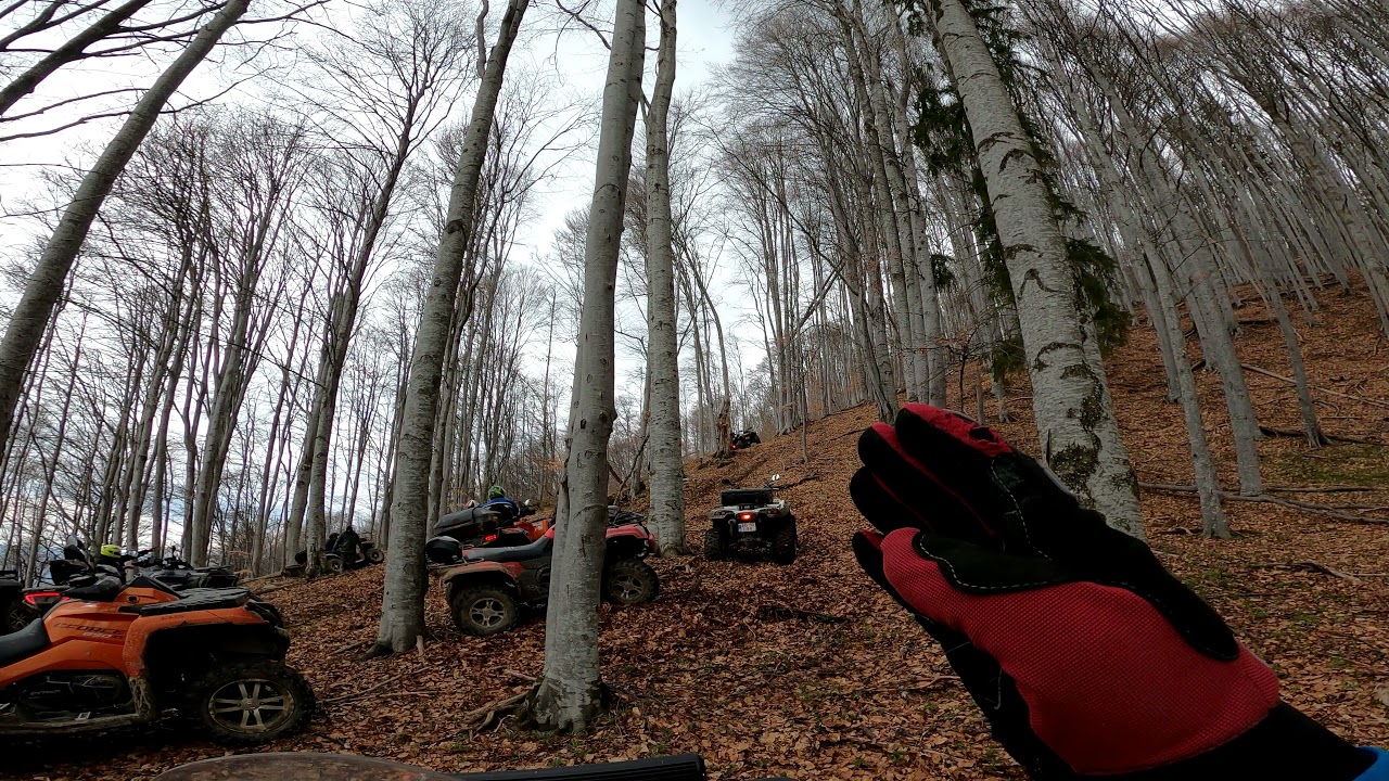 atv/rasturnat